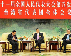 賈慶林參加臺灣代表團審議