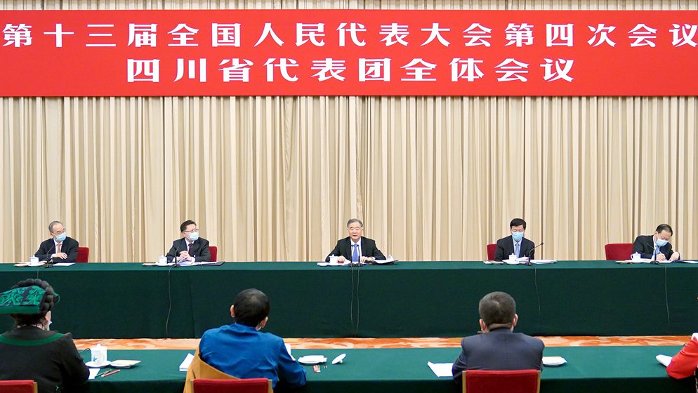 汪洋參加四川代表團(tuán)審議