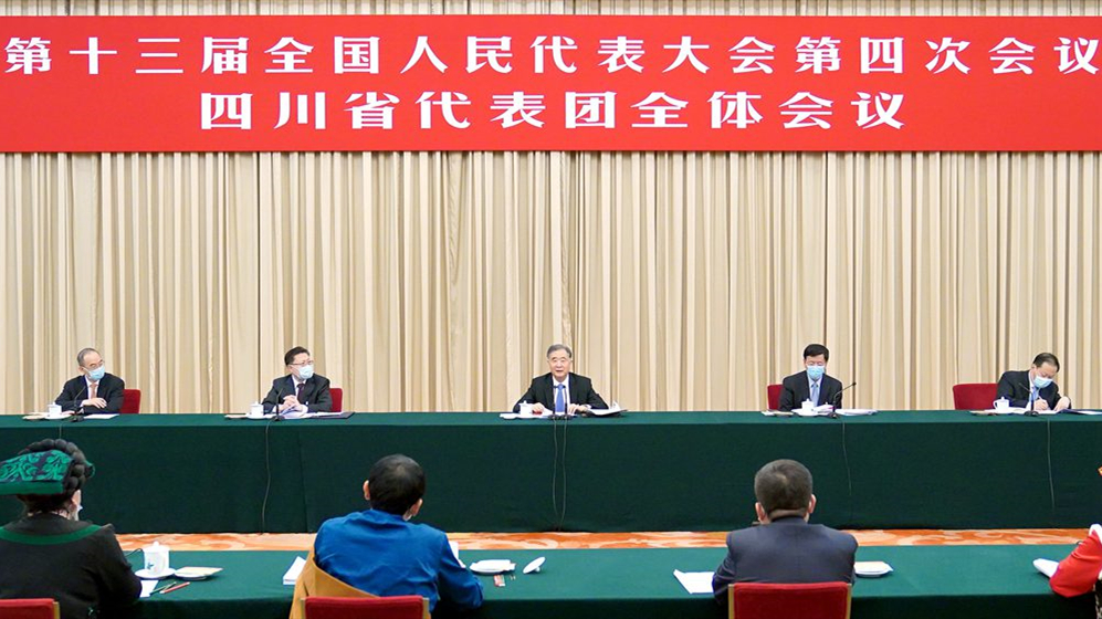 汪洋參加四川代表團審議
