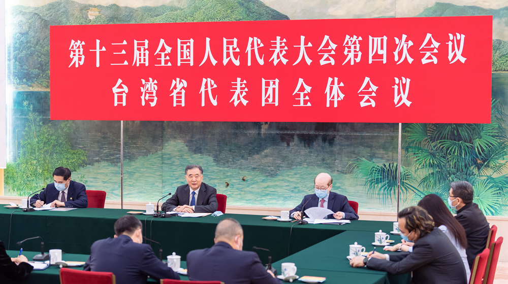 汪洋參加臺灣代表團審議