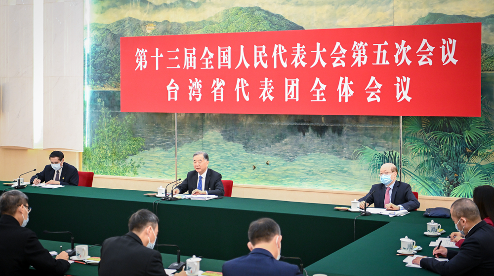 汪洋參加臺灣代表團審議