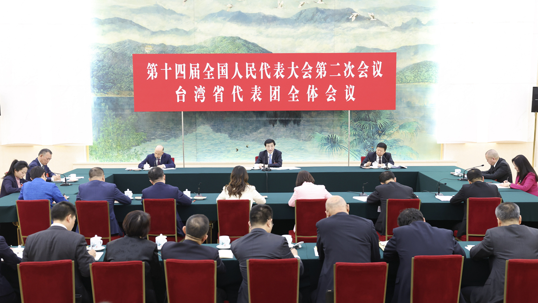 王滬寧參加臺灣代表團審議