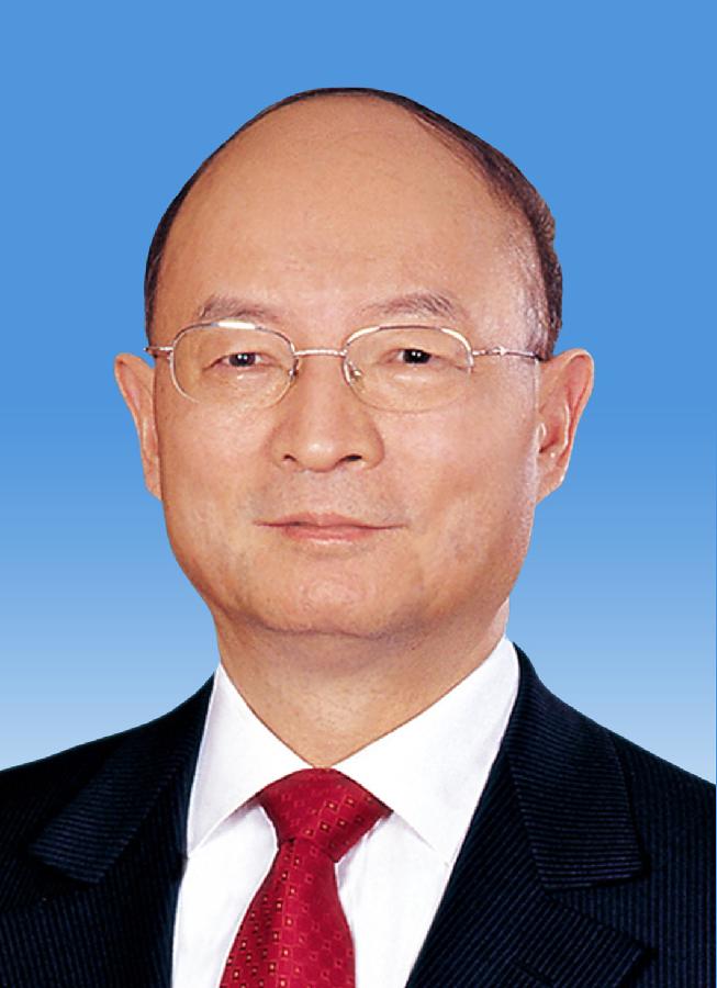 中國人民政治協(xié)商會議第十二屆全國委員會副主席陳元 新華社發(fā)